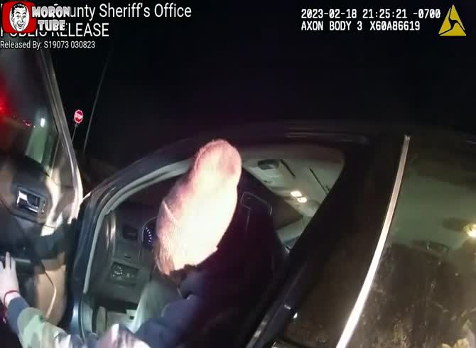 Video :A automobile kills him as he attempts to flee from the police (Warning - disturbing)